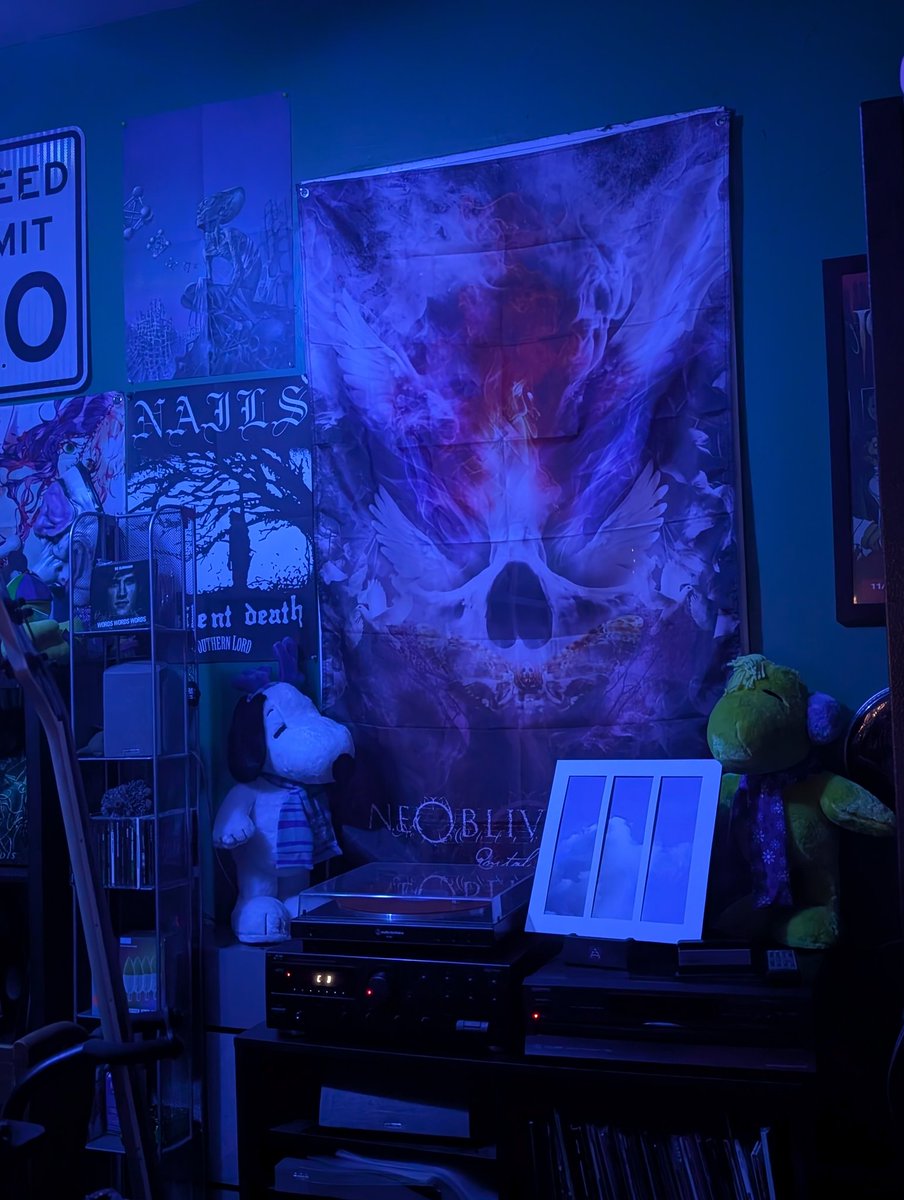 Listening to when no birds sang while high was a really good experience highly recommend