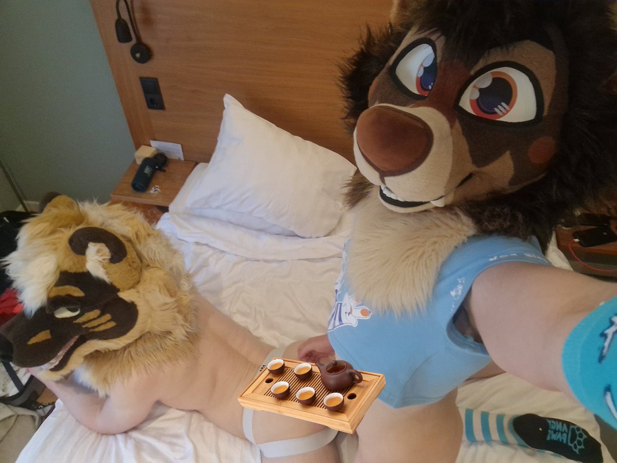 Atlas Beardog 🔜 LVFC tweet media