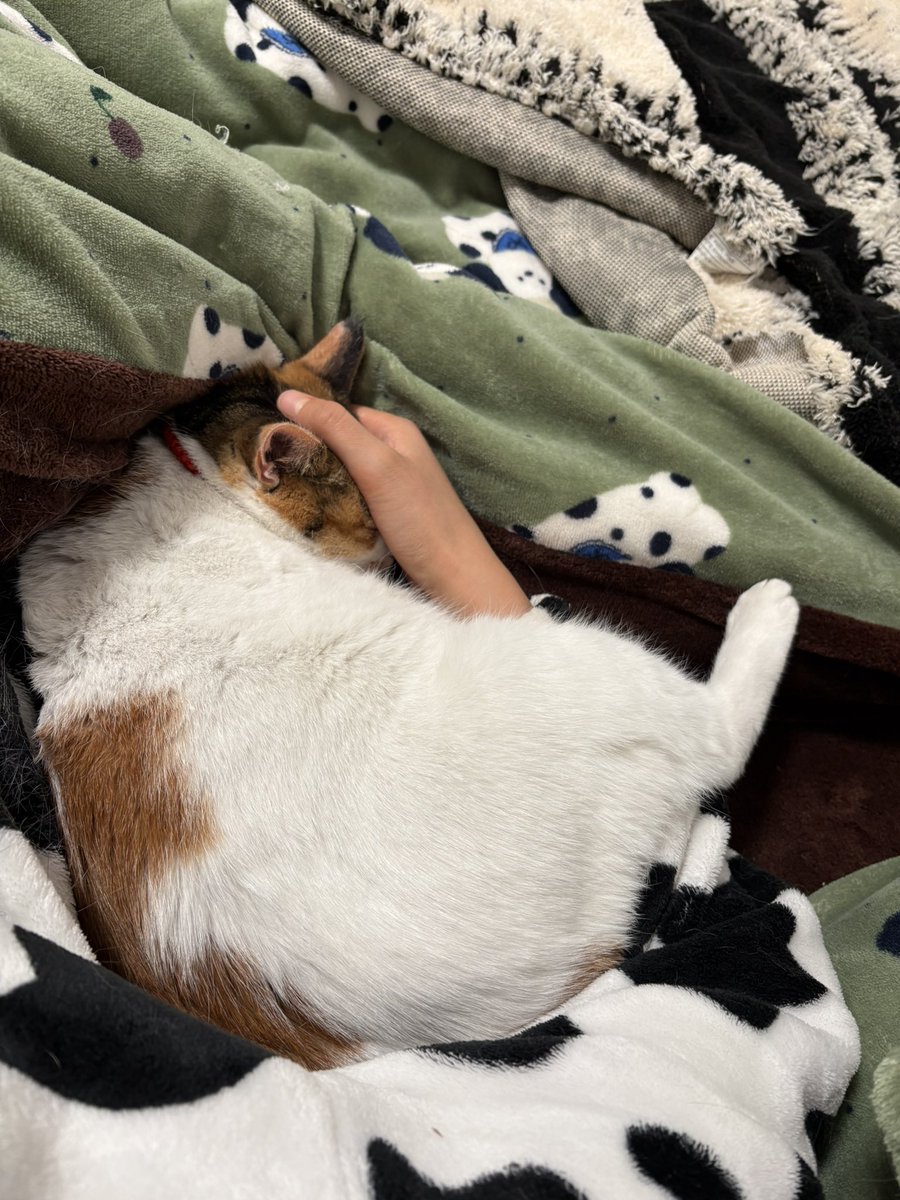theJoy00's tweet photo. 对啊老鼠的孩子也只是会打洞  我能有什么修为 
一边被这些明知毫无意义的问题困扰  一边就是挣脱不出来 
活着只是活着 没有意义 https://t.co/Jz4lJ7W2jM