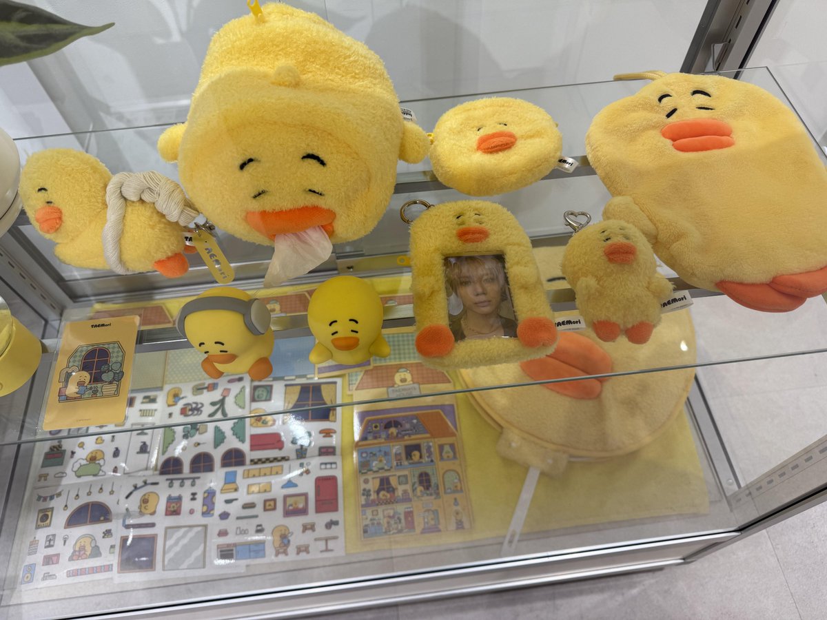 TAEMori】 TAEMori Pop-up Store COZY NEST 日本POP-UP STORE💛 本日2
