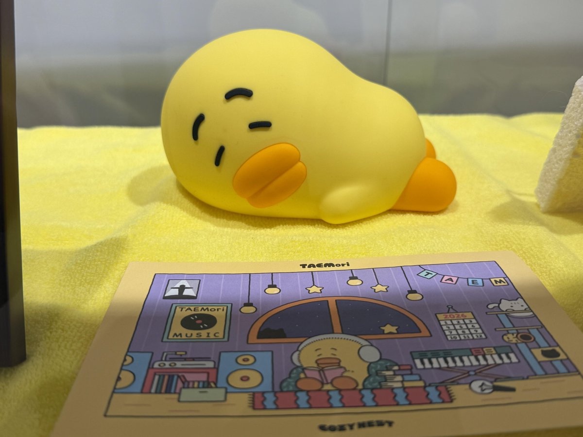 TAEMori POPUP COZY NEST テモリ フィギュア 2種 トレカ TAEMori】 TAEMori Pop-up Store COZY NEST 日本POP-UP STORE💛 本日2