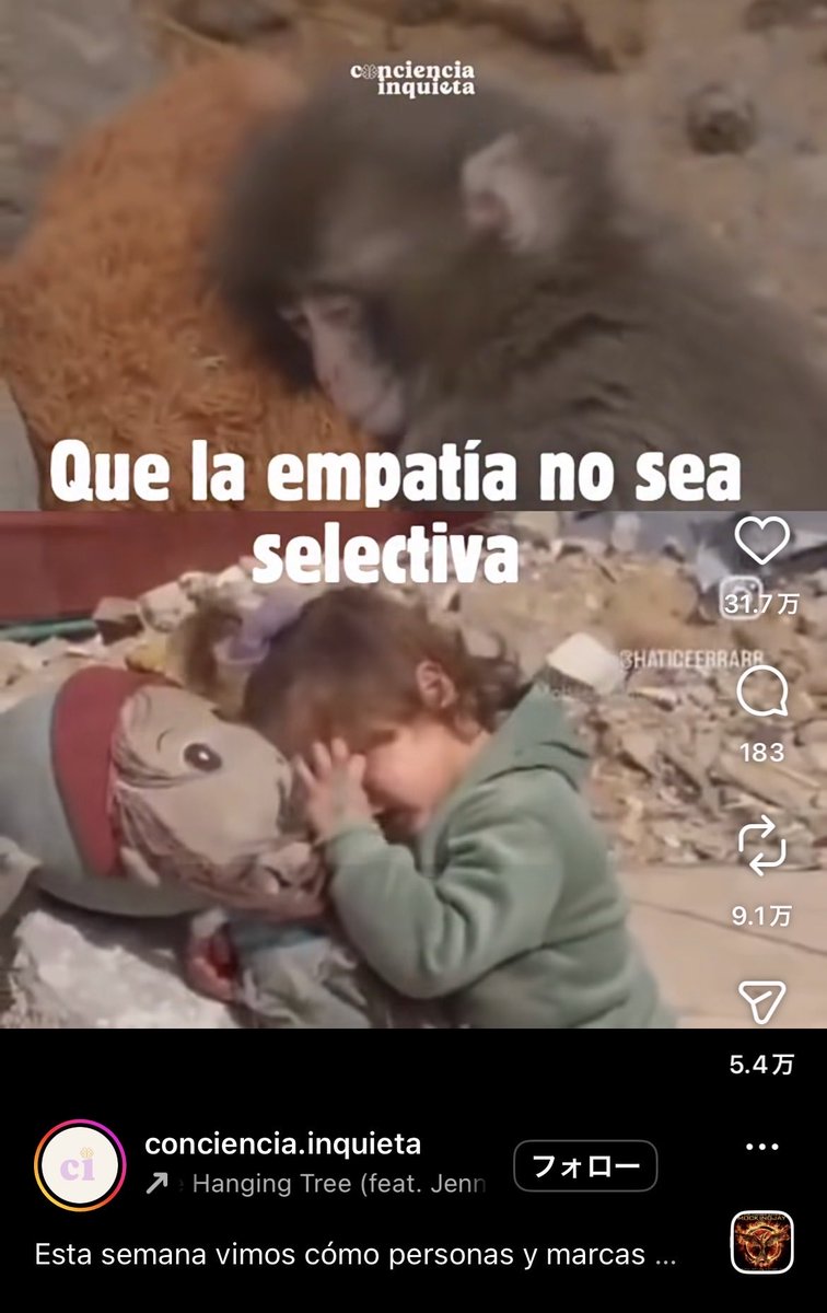 Pepe lover tweet media