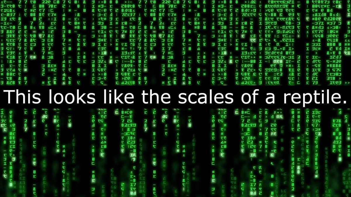 Simulation Schizo tweet media