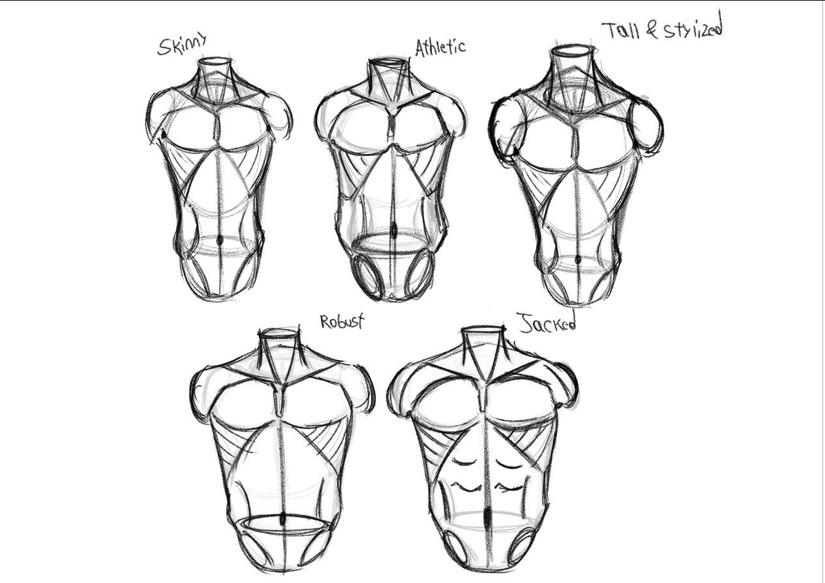 Memochill's tweet photo. Day 21/100 Torso Practice
#100DaysOfDrawing https://t.co/LBESH3yx4E