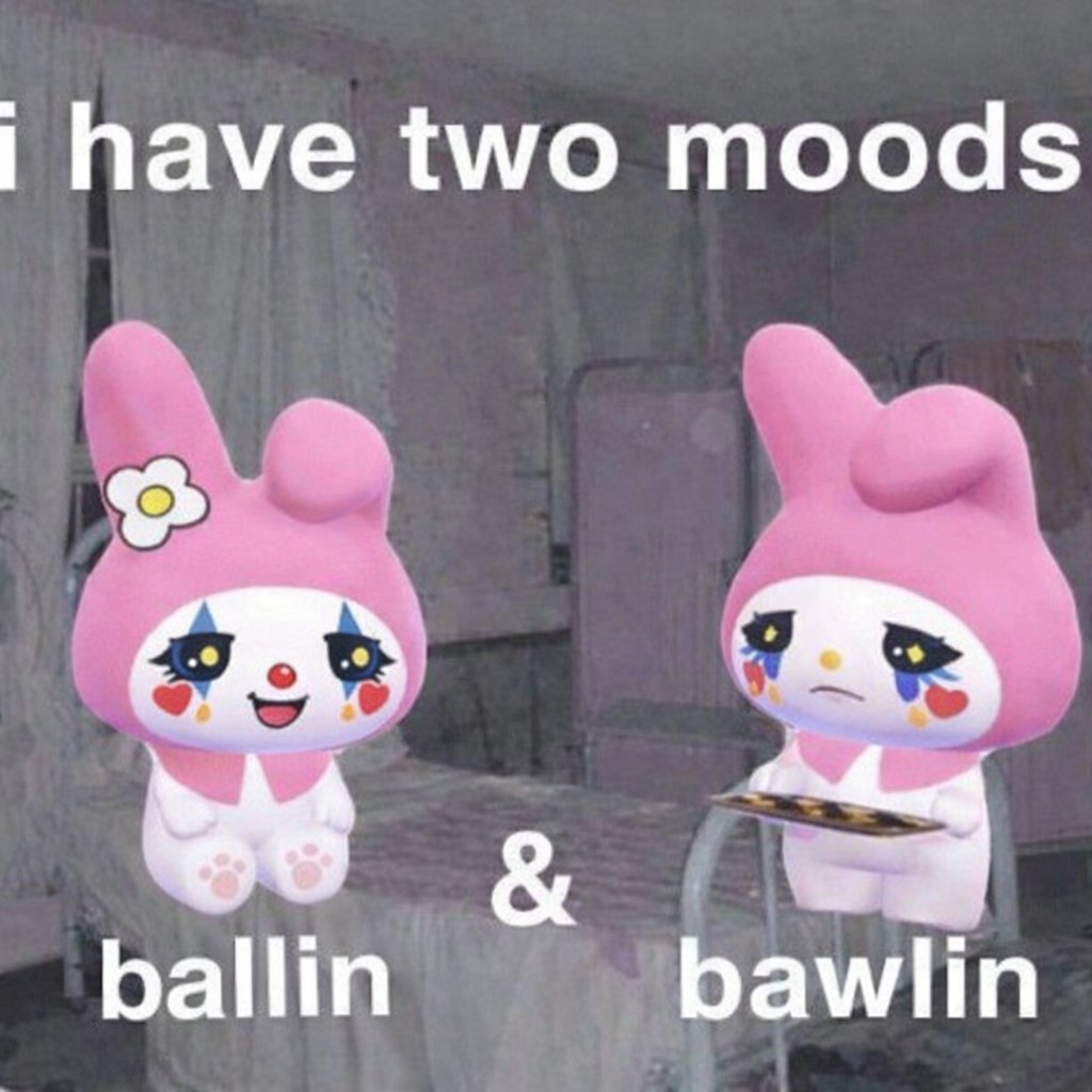 fuck it, we bol

$SWO in control 🫷🐱🤡🫸