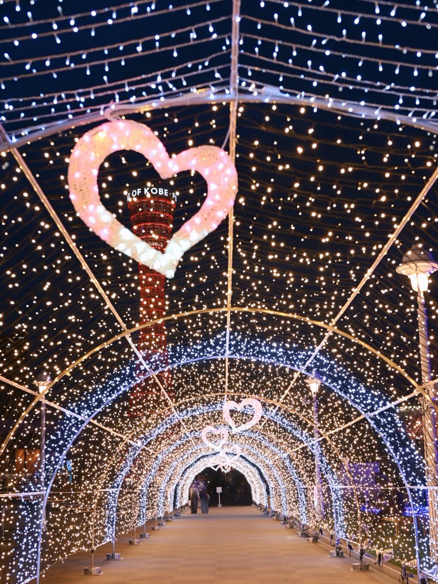 めぐ｜写真 (@TwinsMeg11) / Posts / X