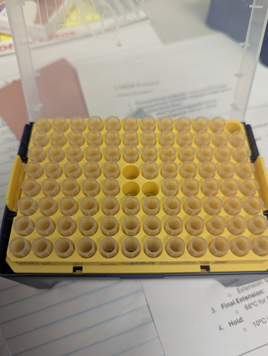 Stephen Decker tweet media