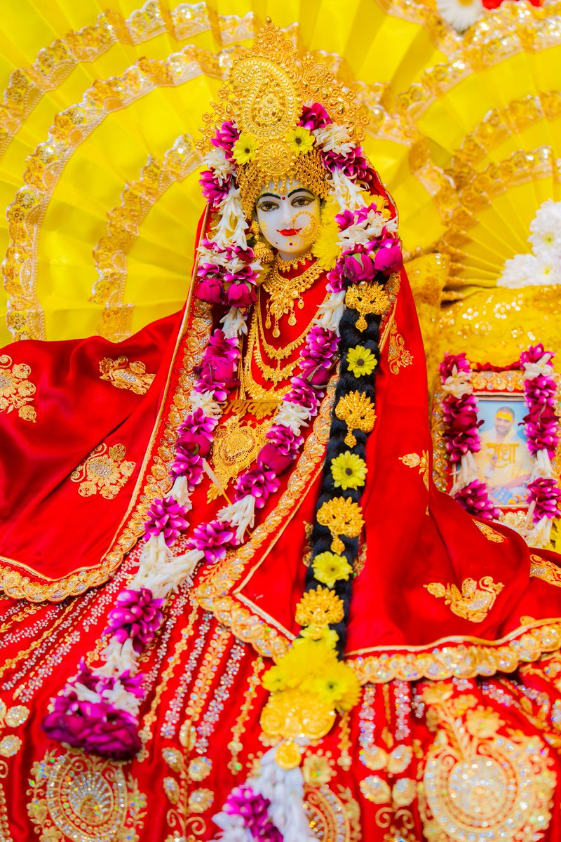 Radhika Ras 🪷 tweet media