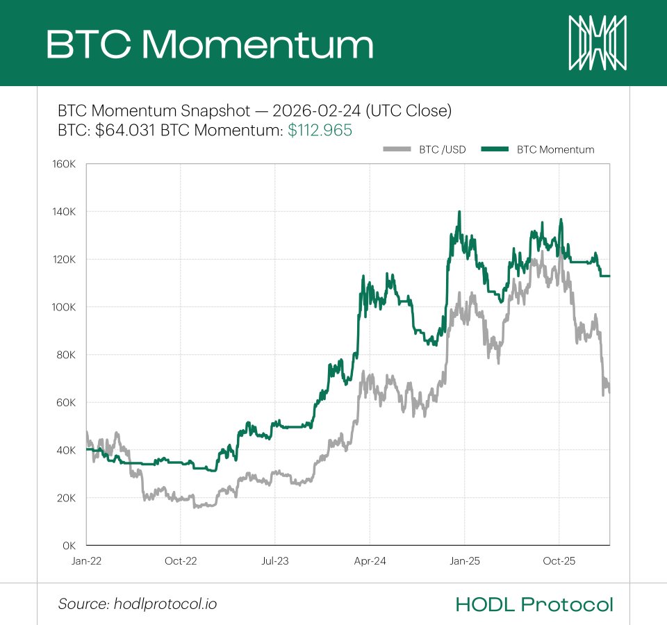 HODL Protocol tweet media