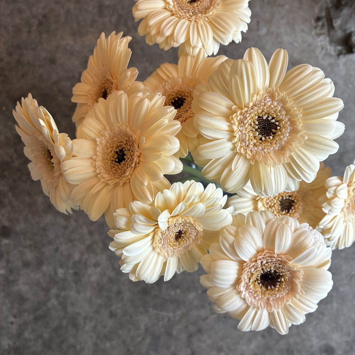 Rikky 息してれば100点 (@AZRikky) / Posts / X