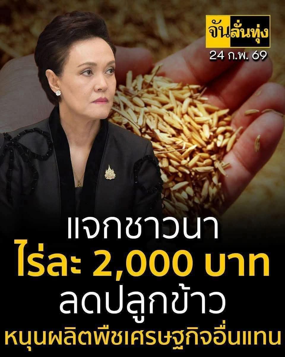 ปีศาจสุรา tweet media