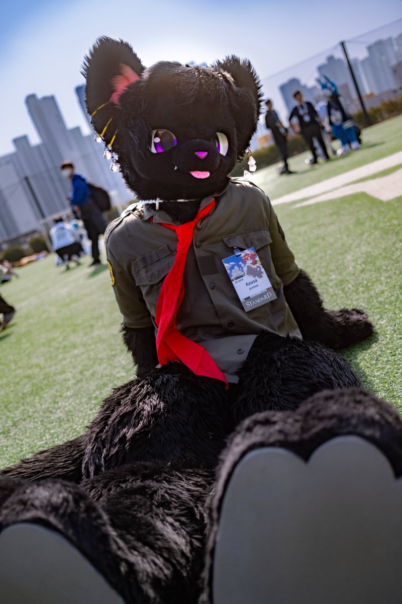 토르갈 tweet media