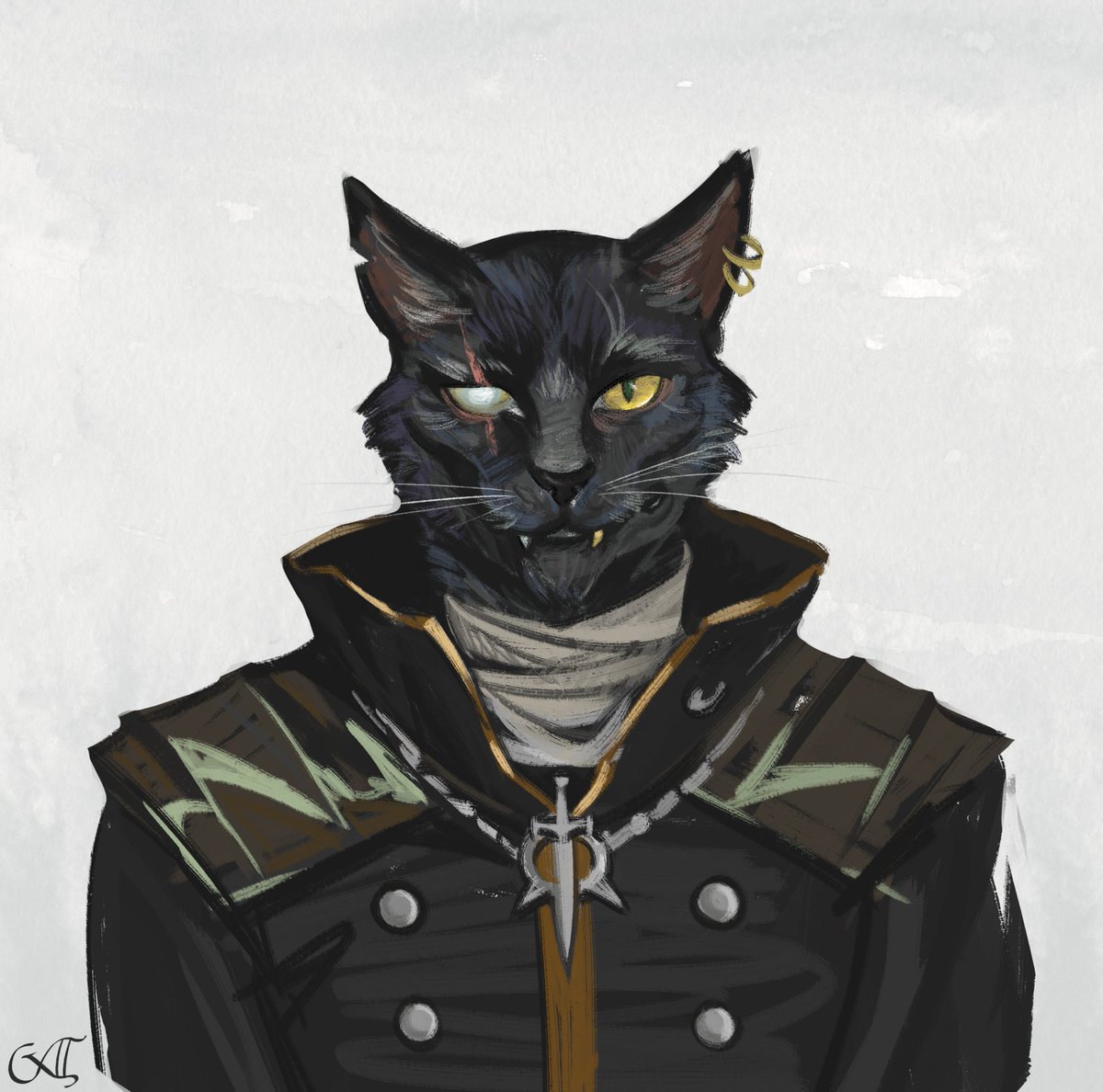 Archibald
Tabaxi rogue