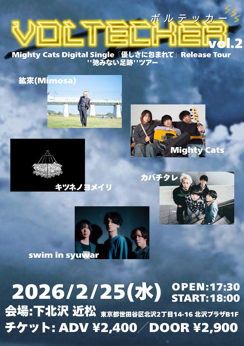 Mighty Cats (@Mighty__Cats34) / Posts / X