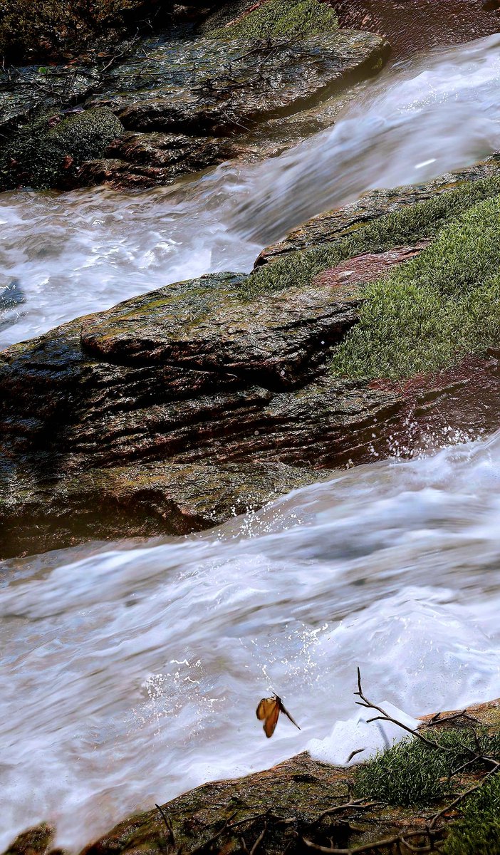 KENG _ IN GAME PHOTO . 📸 🖼 🇹🇭 tweet media