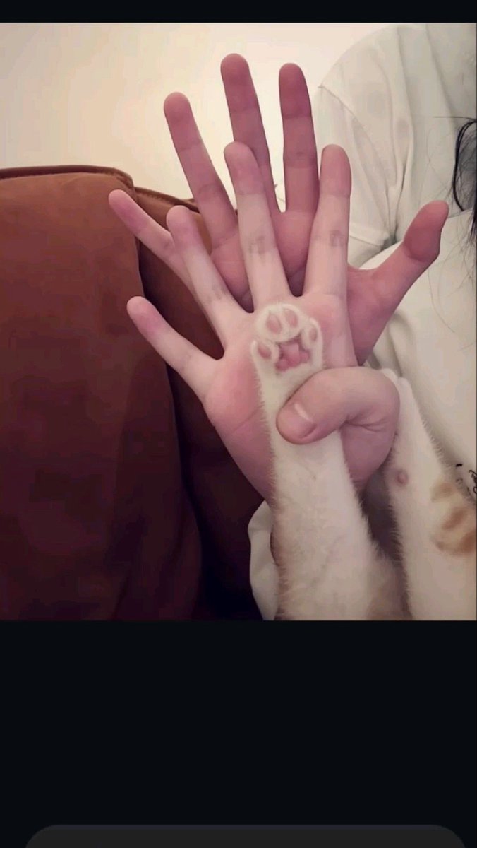 Grinning_Ginger tweet media