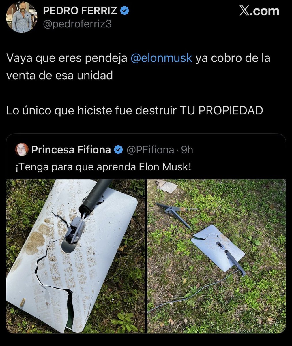 Imaginen el nivel del trol Fiona que puede ser pendejada por La Perriz