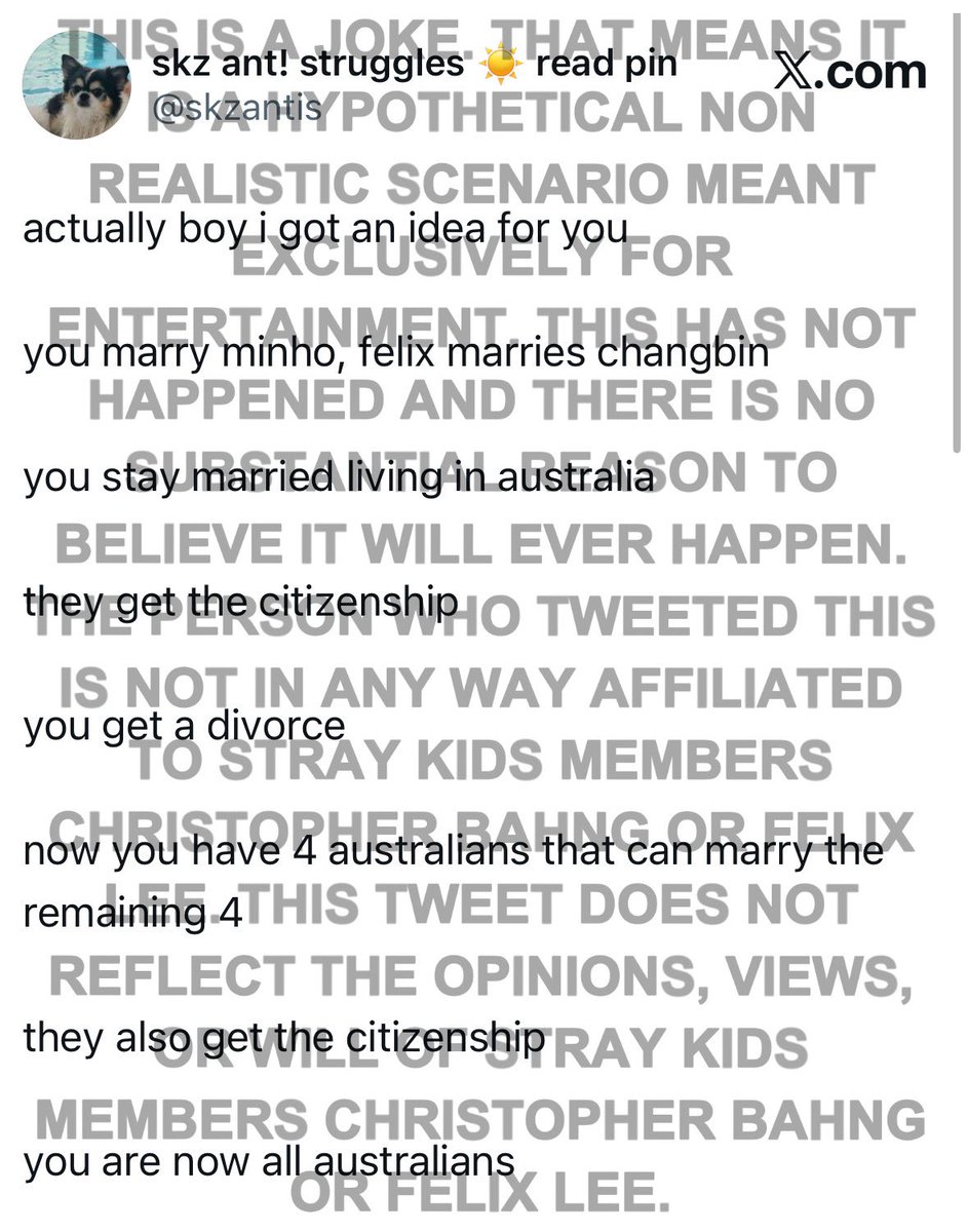 skz ant! struggles ☀️ read pin tweet media