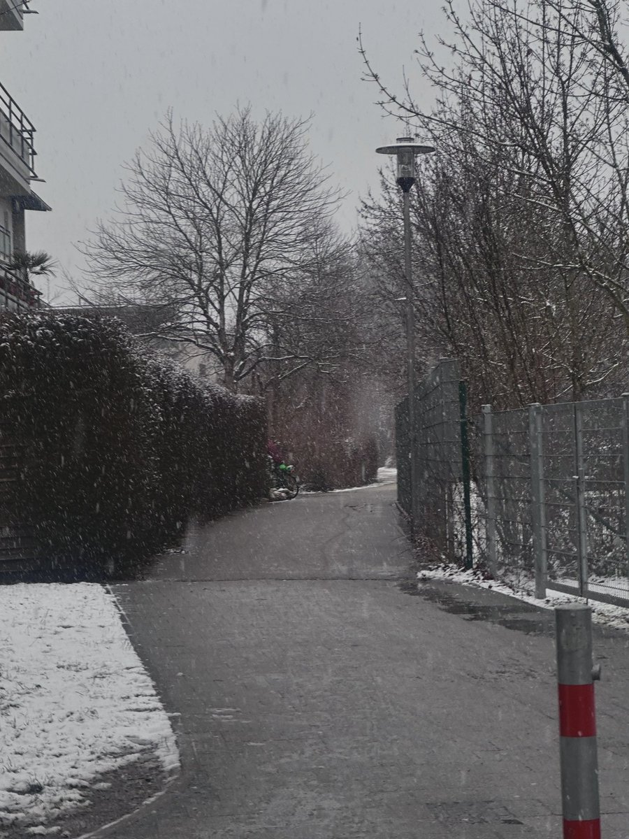 ㅊ … 🪽 tweet media