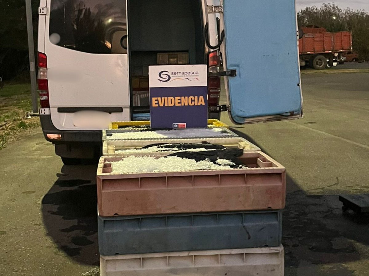 🔴 Donan más de una tonelada de recursos del mar que fueron incautados en la Ruta 5 Sur, a la altura de la comuna de #Paillaco.

👉🏼 Más información aquí...
facebook.com/10006356767152…
<a href="/sernapesca/">Servicio Nacional de Pesca y Acuicultura 🇨🇱</a> <a href="/seremisalud14/">Seremi Salud LosRíos</a> <a href="/sagchile/">SAG</a> <a href="/CarabLosRios/">Carabineros Región de Los Ríos</a>