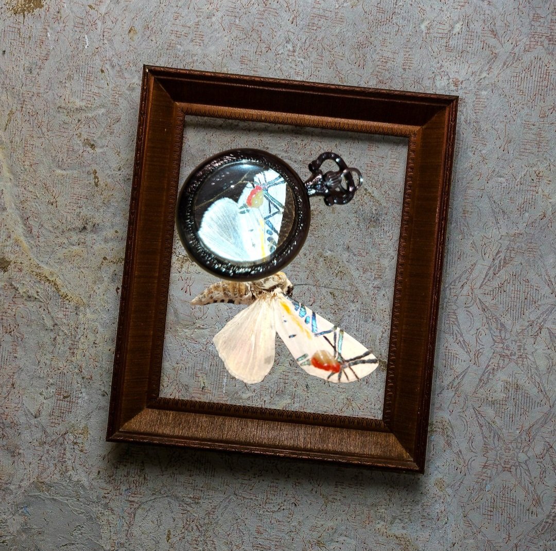 時を舞うピカソ🫶 自然が数万年かけてデザインした緻密な模様