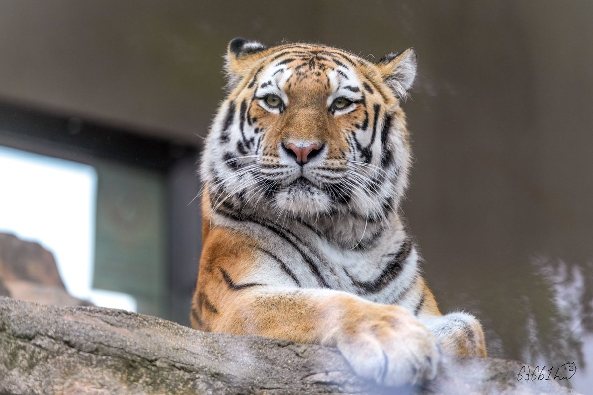 636b1h (@636b1h) / Posts / X