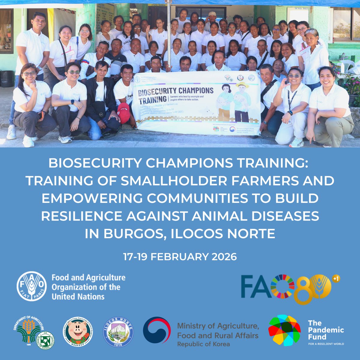 FAOPhilippines's tweet photo. Over 80 smallholder farmers in Burgos, Ilocos Norte are now Biosecurity Champions. 🛡️🐖

With support from @Pandemic_Fund, @FAO, DA BAI, PVO Ilocos Norte, and MAO Burgos trained farmers on ASF, farm biosecurity, cleaning &amp; disinfection, waste management, &amp; policies. https://t.co/HTlzHqpsKa