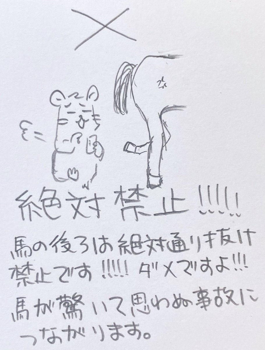 ひの新選組まつり応募締切まであと3日
ひのパレには馬が来る✨めっちゃかわいい✨専門の介添さんがいるので乗馬経験なくても大丈夫ですよー！ただ、過去別のまつりで事故もあったので手綱は必ずお持ち下され。そして絶対馬の後ろを通らぬように！相背候者切腹…申付かも💦
#ひのパレ #ひの新選組まつり