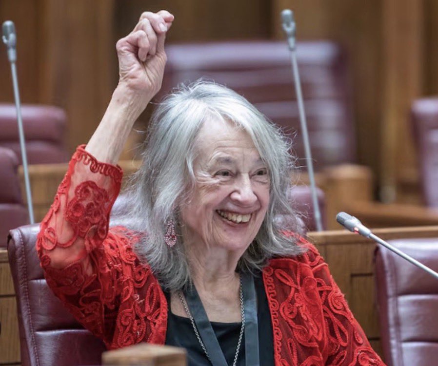 Thanks to General Nhlanhla Mkhwanazi, we now know that this Mary de Haas person is no Professor, no crime expert and has no PhD. 

Thixo 🙆‍♂️