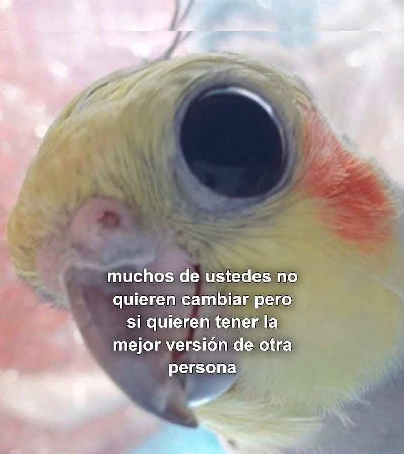 This Charming Cap (@briagowsky) on Twitter photo 