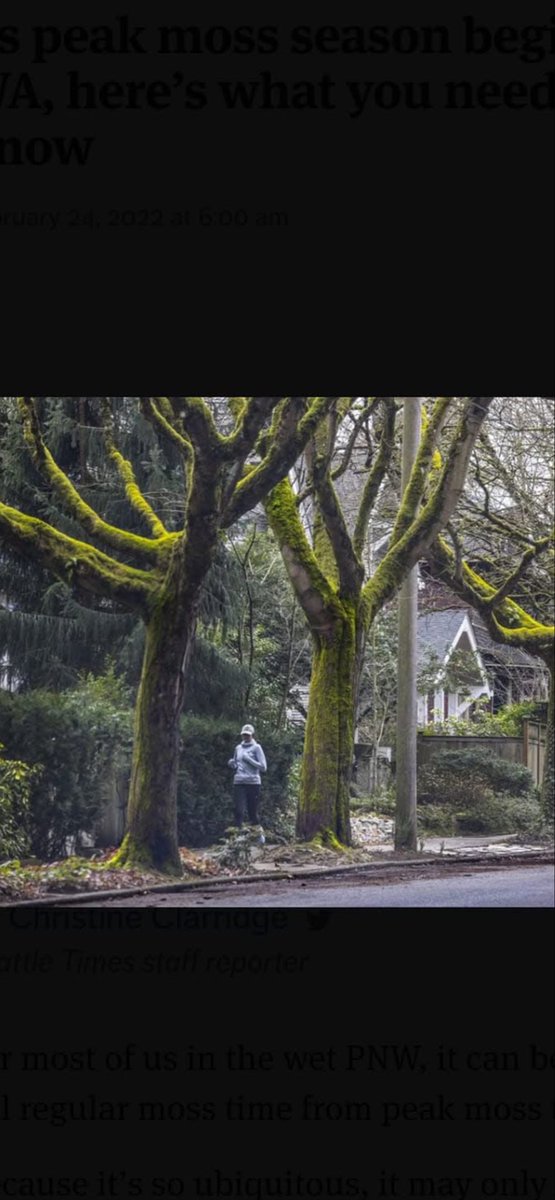 Lindaulrich77's tweet photo. I hope one day so can find a Minecraft builder that makes the feel of the PNW as I know it. There is probably someone and I just haven’t seen it yet @hermitcraft_  @Minecraft https://t.co/gosEPJC3yb