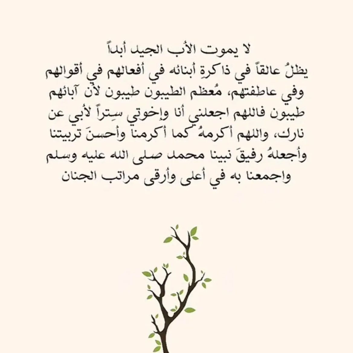 i_kha2's tweet photo. 🌿 https://t.co/r6PIVLyyzP
