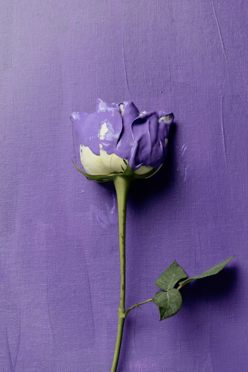 NAKED PURPLE
Freedom is NOT a color.

กลิ่นที่ถือกำเนิดจากคำว่า “อิสรภาพ”

ราวกับวินาทีที่ผีเสื้อคลี่ปีกบิน 
ไม่ใช่เพื่อพิสูจน์คุณค่าแก่สายตาใคร
เพียงแต่บินไปโดยไร้พันธนาการ

NAKED PURPLE ไม่ได้เป็นเพียงกลิ่นหอม
แต่คือภาพสะท้อนของหัวใจที่เป็นอิสระ
ไม่ถูกจำกัดด้วยสี