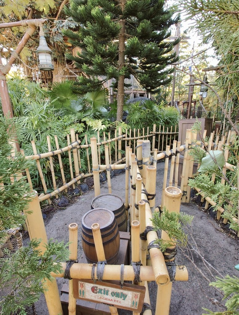 花と緑のTDRブログ_ユキヤナギ tweet media