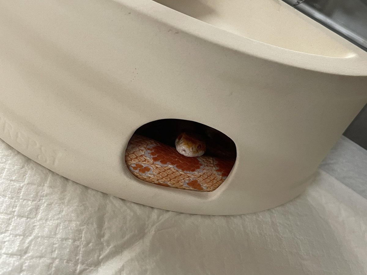 とあ (@toa629) / Posts / X