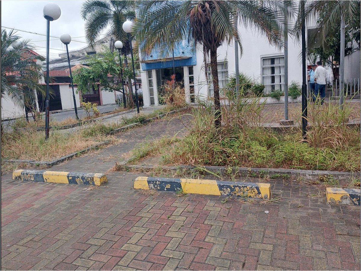 Rodrigo Jayaf tweet media