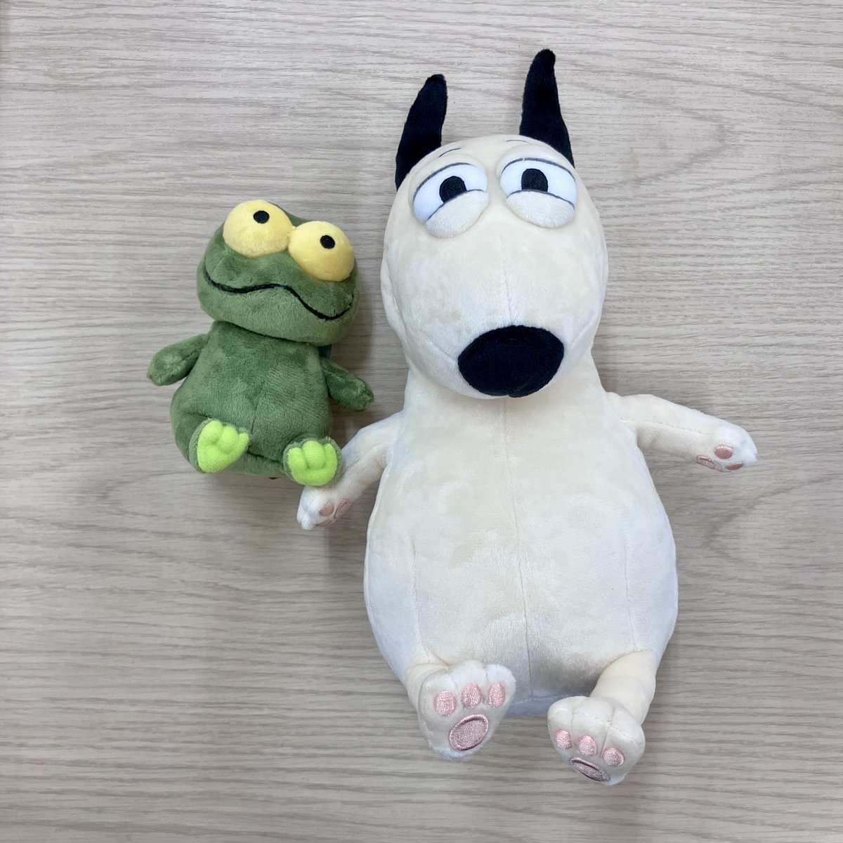 再入荷💫 #バムとケロ より ケロぬいぐるみSが再入荷いたしました