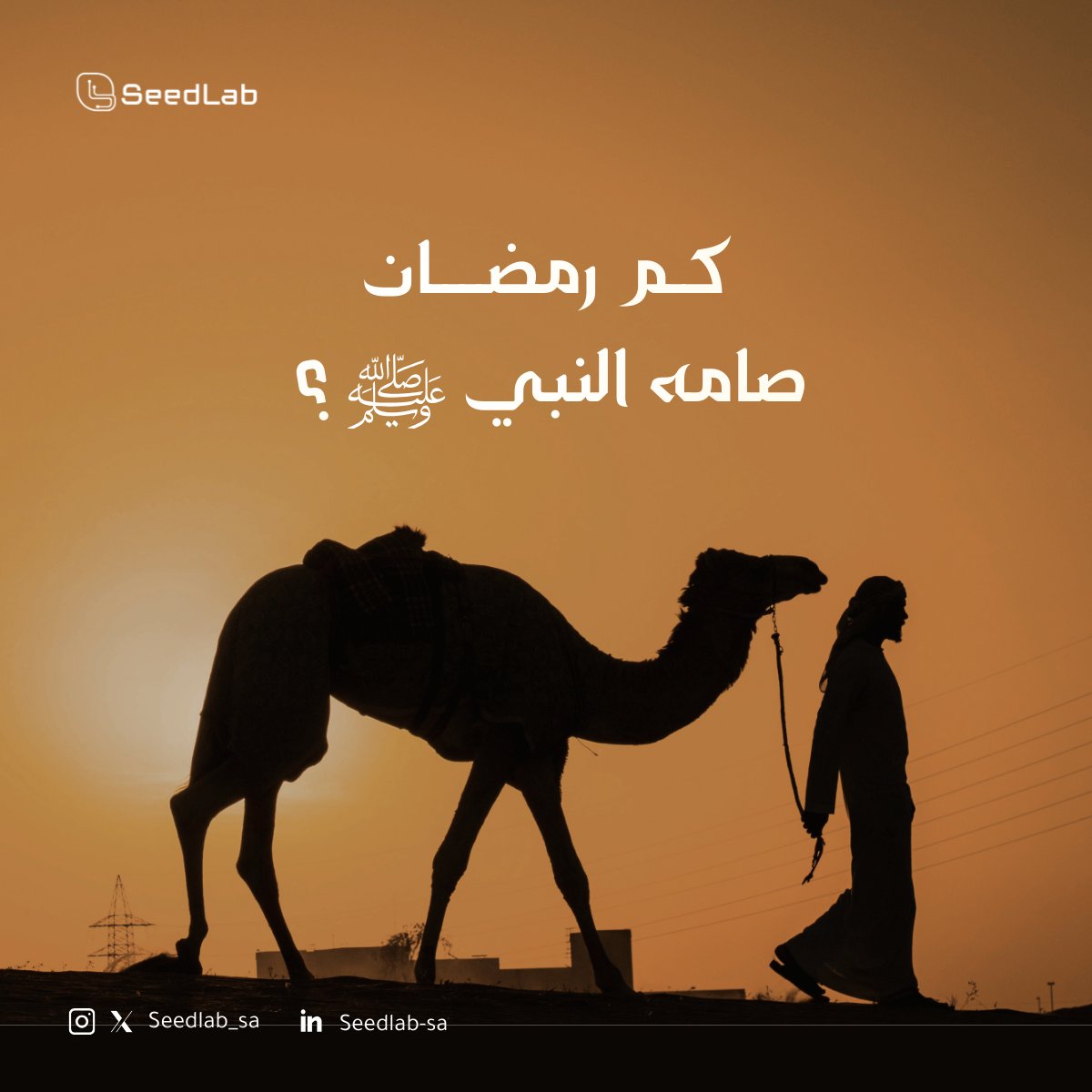 ‏SeedLab | سيدلاب tweet media