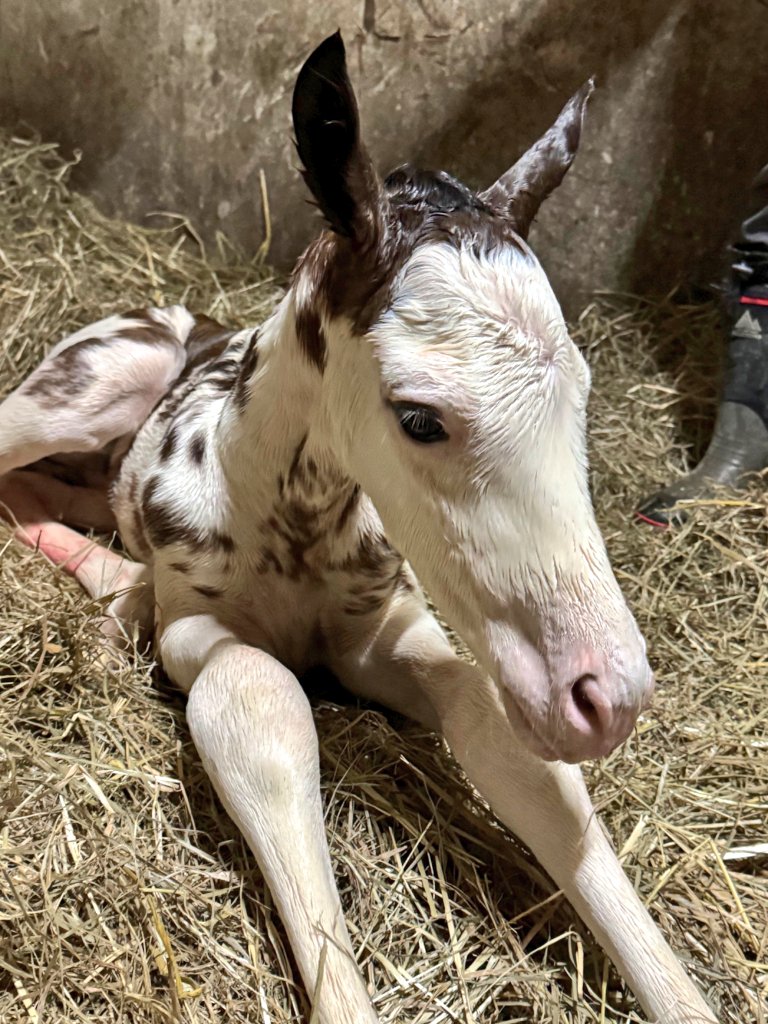 はわー😭🩷かわよすぎですー😭🩷