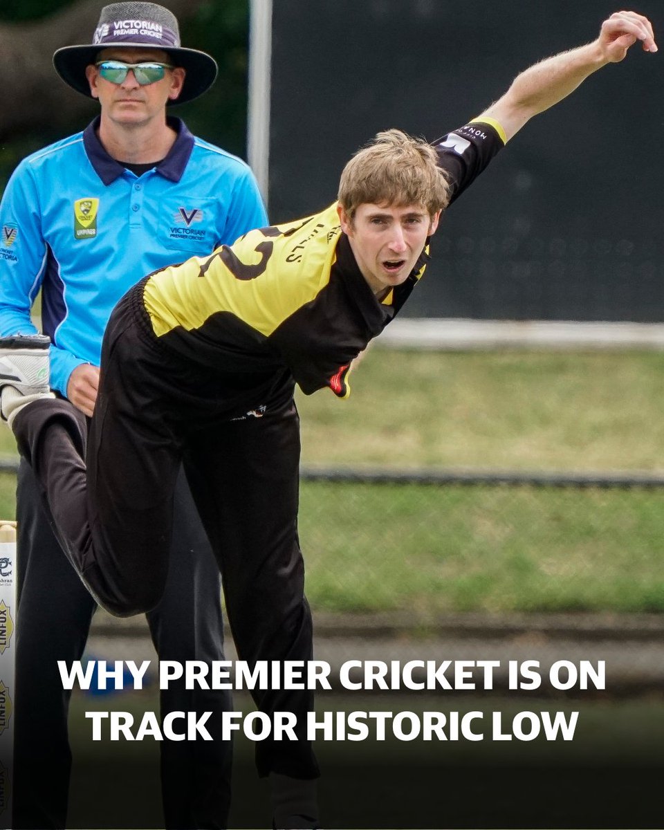 Leader Local Cricket tweet media