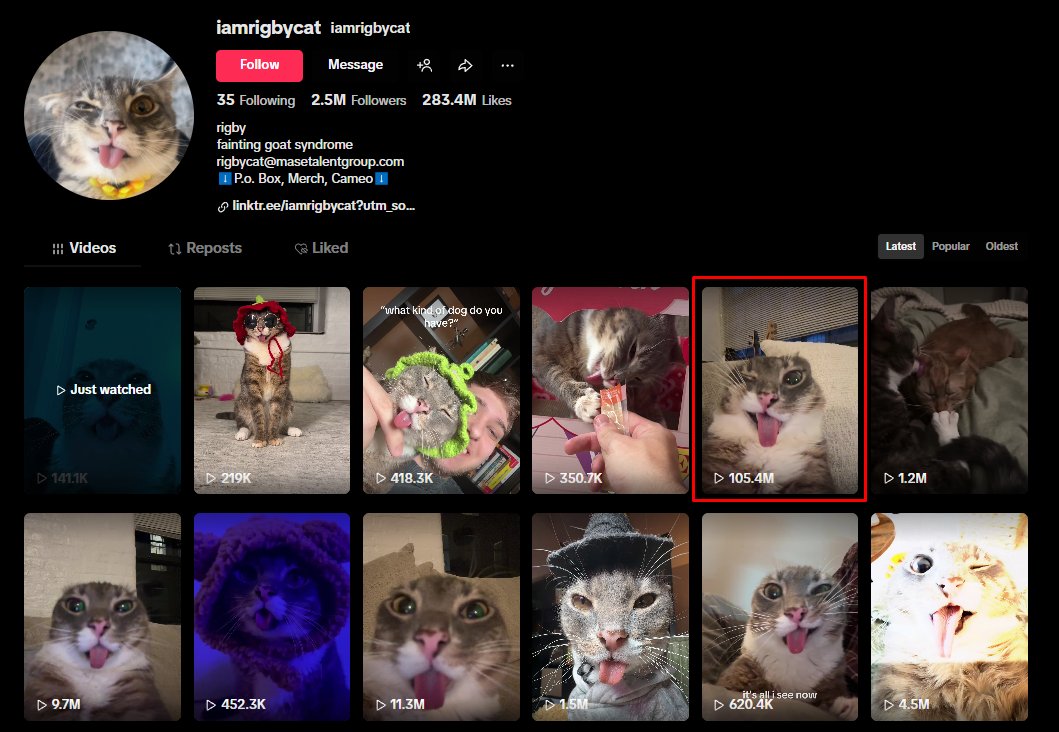 King (₿) tweet media