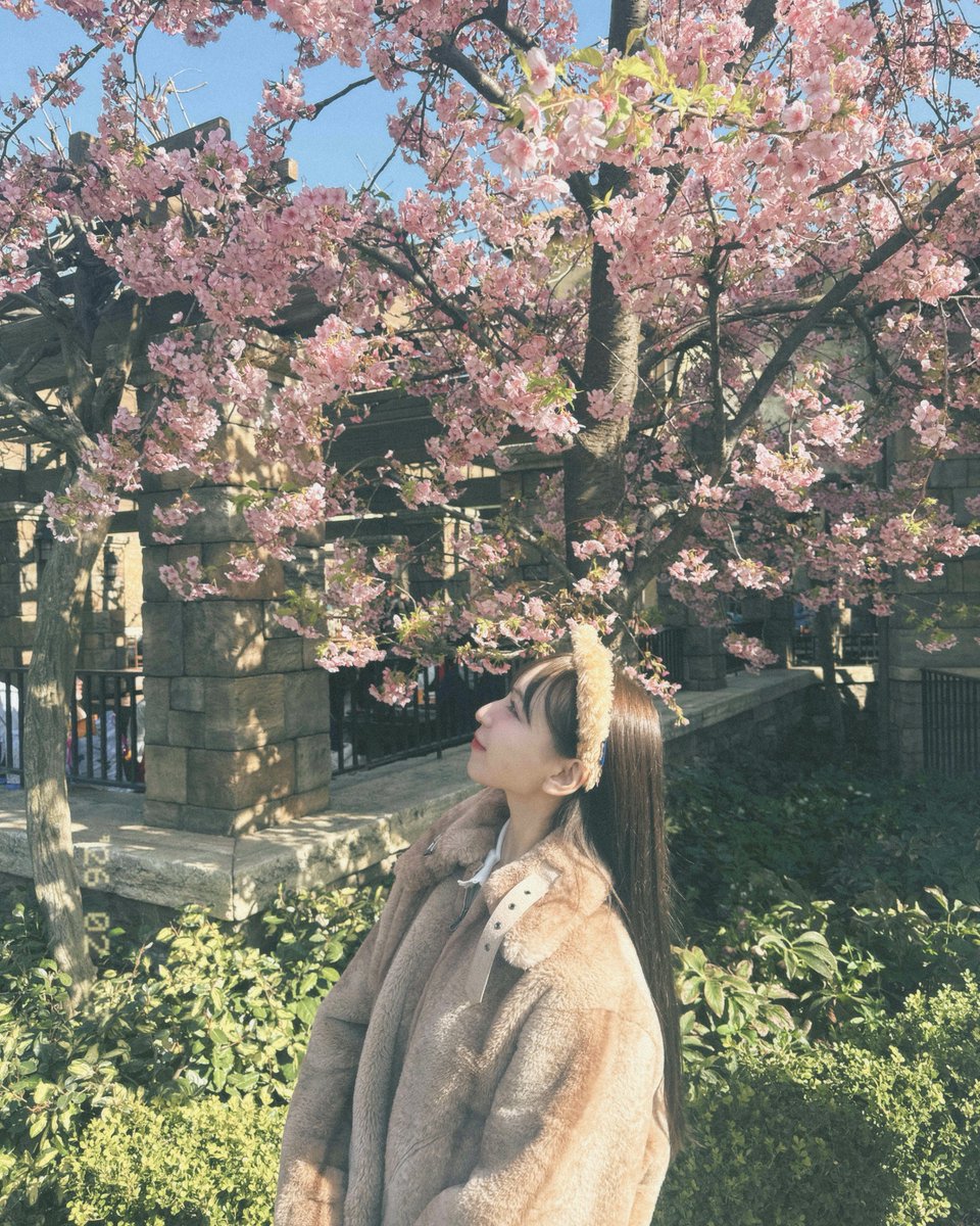 SWEET STEADY【Official】 (@SWEET_STEADY) / Highlights / X