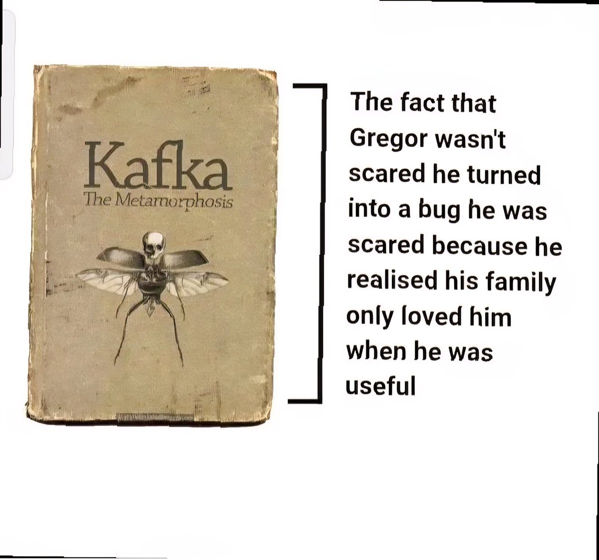 Synexdoche (@amor_fatti) on Twitter photo 