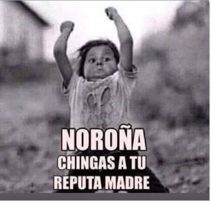 carlos lopez tweet media