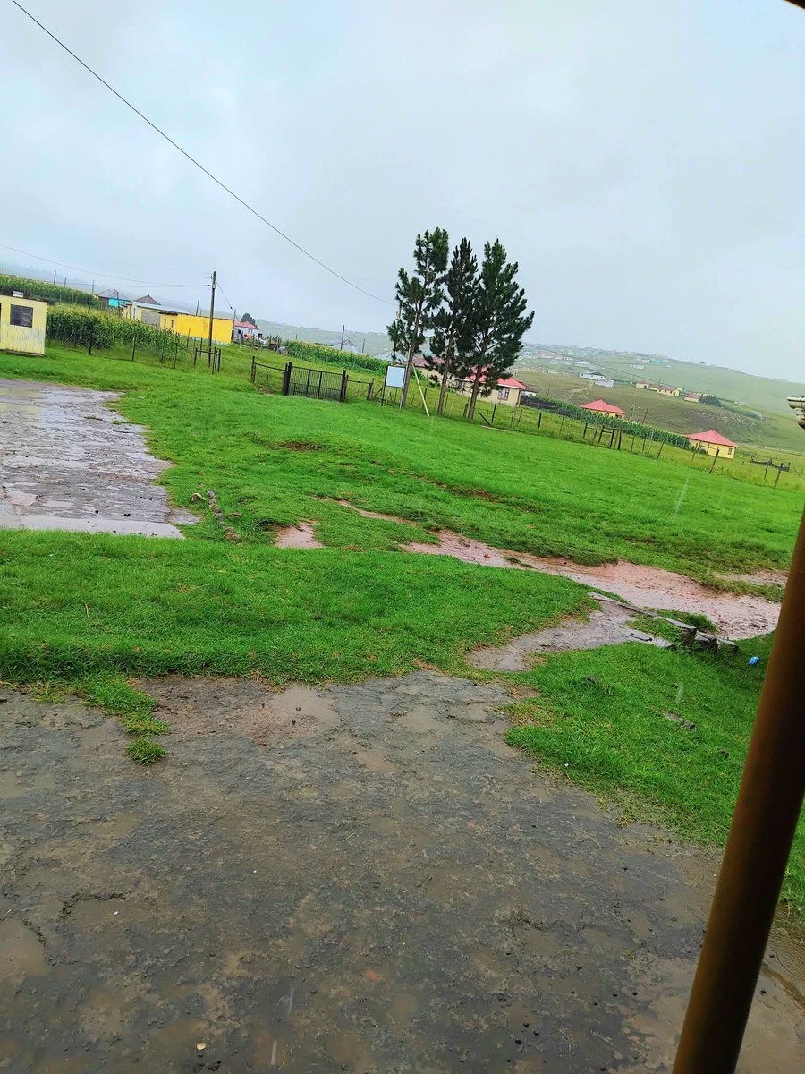 Good Morning Fam and happy Wednesday 🌸💌🫶