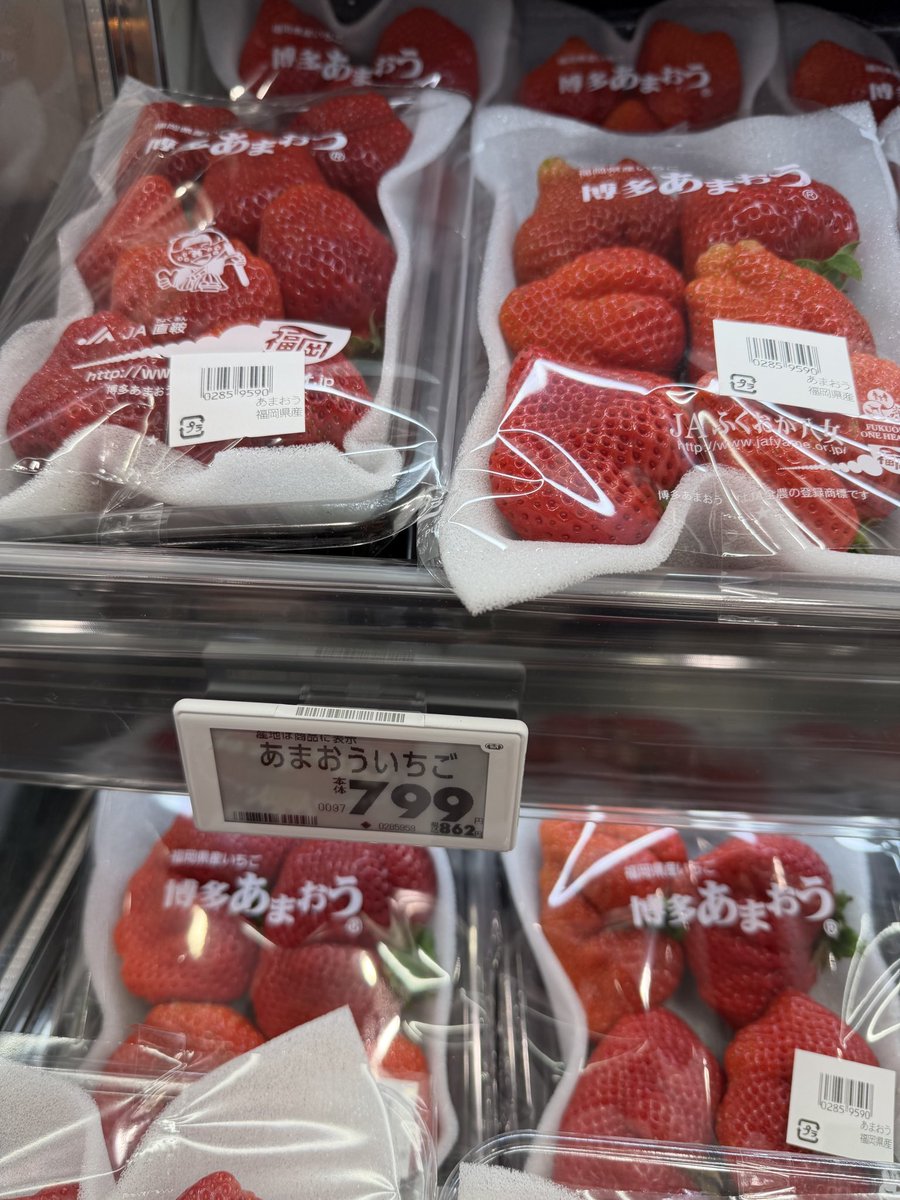 ワイタト tweet media