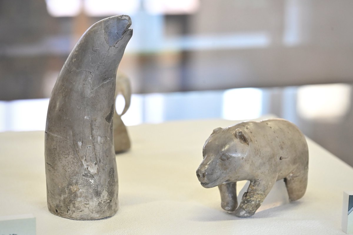 さりげなく展示してますけど、これ、本物なんですよね。

#網走市立郷土博物館
#湧別町川西オホーツク遺跡