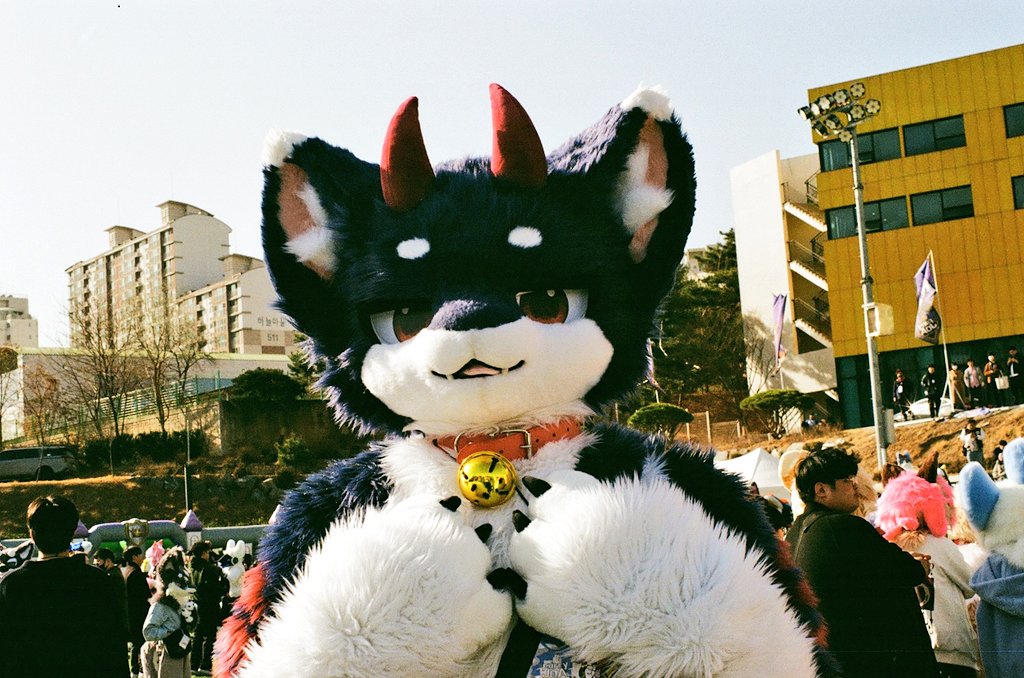 건덕불곰 🔜 퍼클(일) tweet media