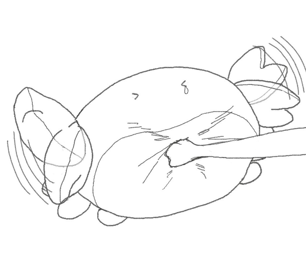 <a href="/5bocVT229L85182/">竹乃</a> <a href="/01asim1oa/">いさ🌱🦀</a> かにの はんげき