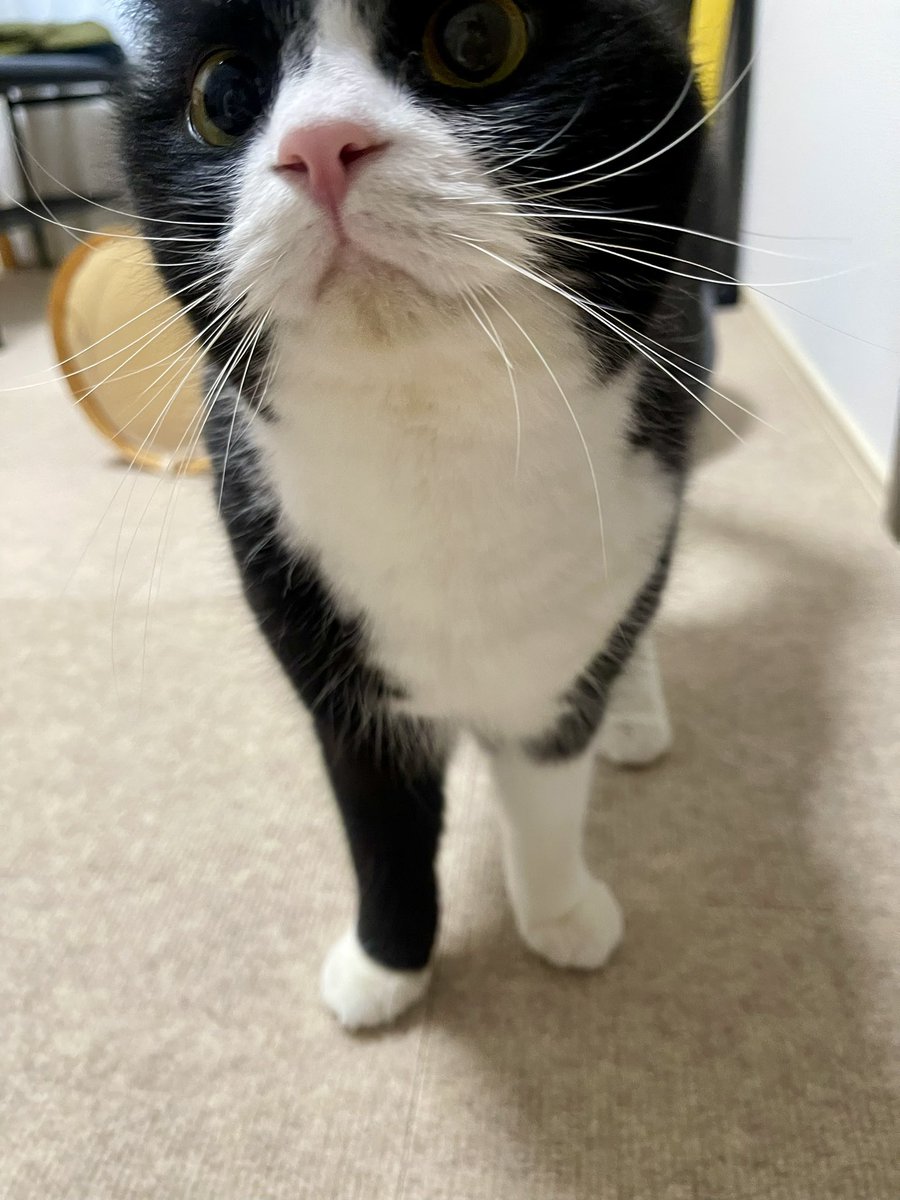 たろう (@taro20216) / Posts / X